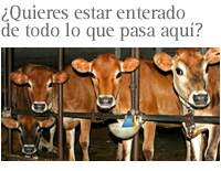 Bolet&iacute;n de Noticias